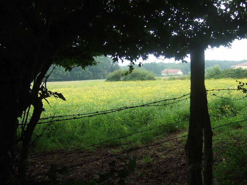 2011-05- (158).JPG